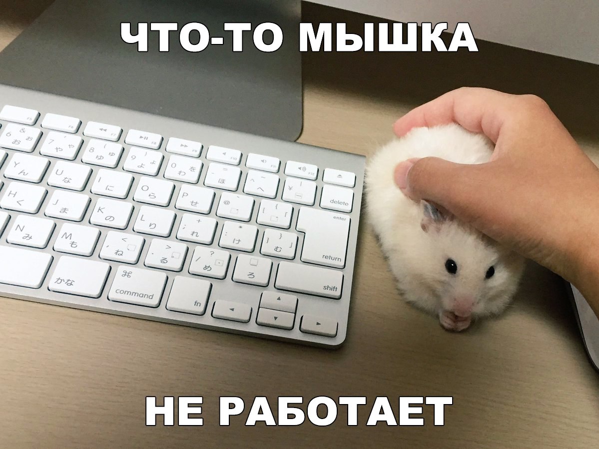 ЧТО ТО МЫШКА НЕ РАБОТАЕТ