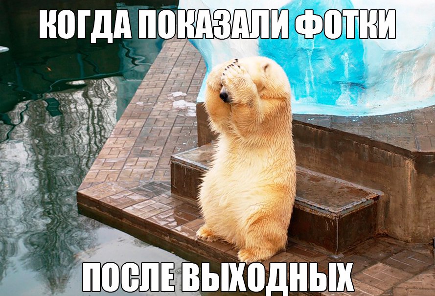 но Гдд ПШШШШШ ФВШИ
