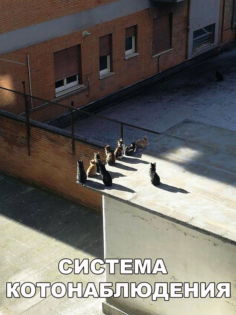 ЩЁ ндвлБ Ё Ё