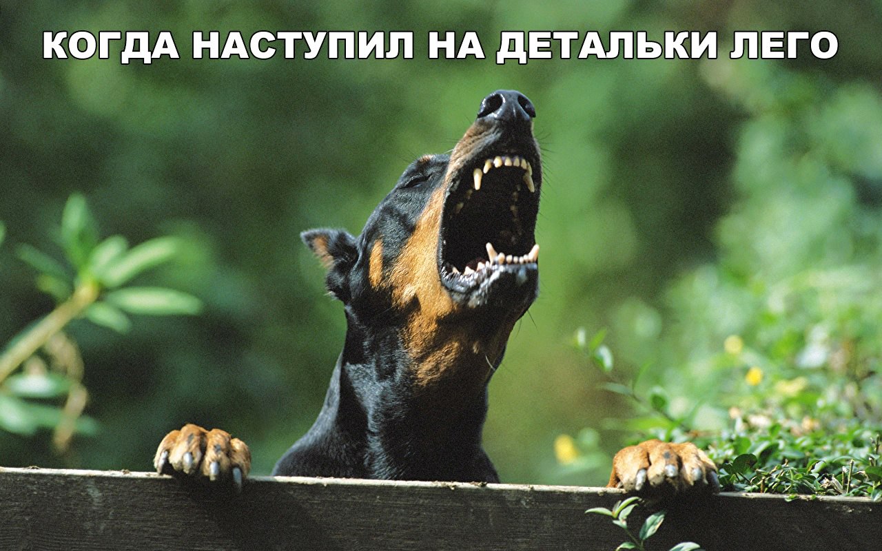 КОГДА НАСТУПИЛ НА дЁТАПЬЗКИцг ЕГО
