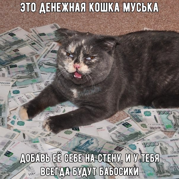 ктццдЕ ннжндкяткддщкдмуськд