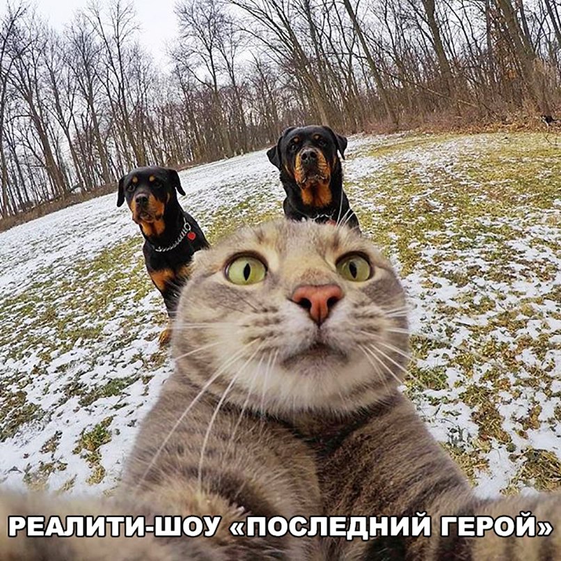 тРЕдлИШц Шоу послвдний гЕРой
