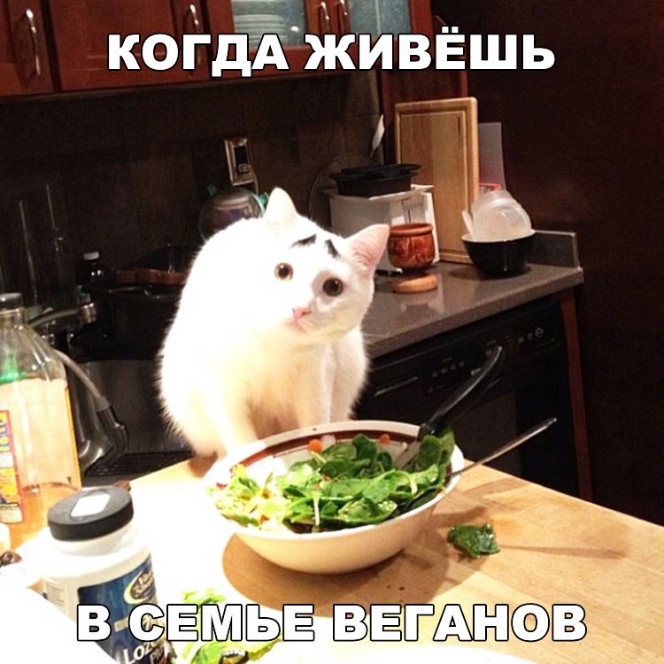 когдэАЁ живешь