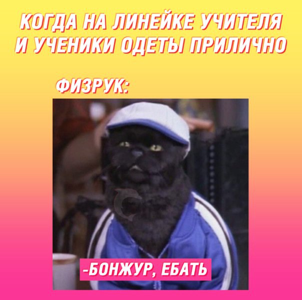 КПГ ДА НА ЛИНЕЙКЕ УЧИТЕЛЯ И У ЧЕНИКИ ПДЕТЫ ПРИЛИЧНП зизгук НМШ 1355 _