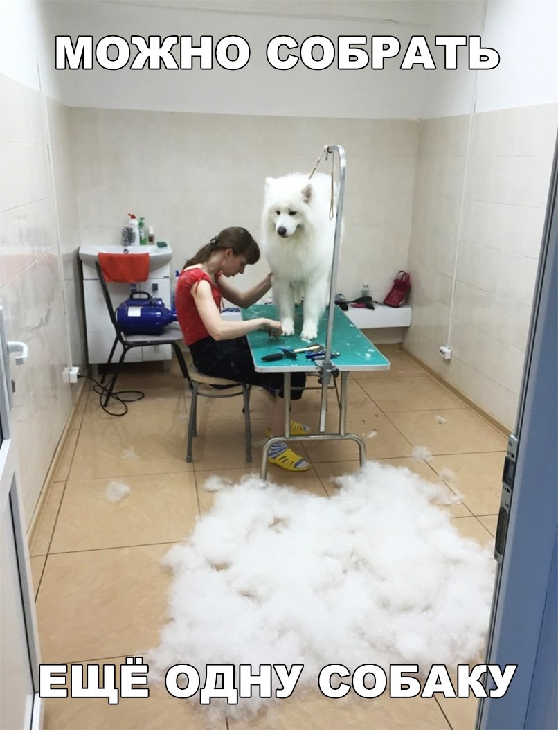 Ж тхтъ ЩгБЁЁУ БАКУ