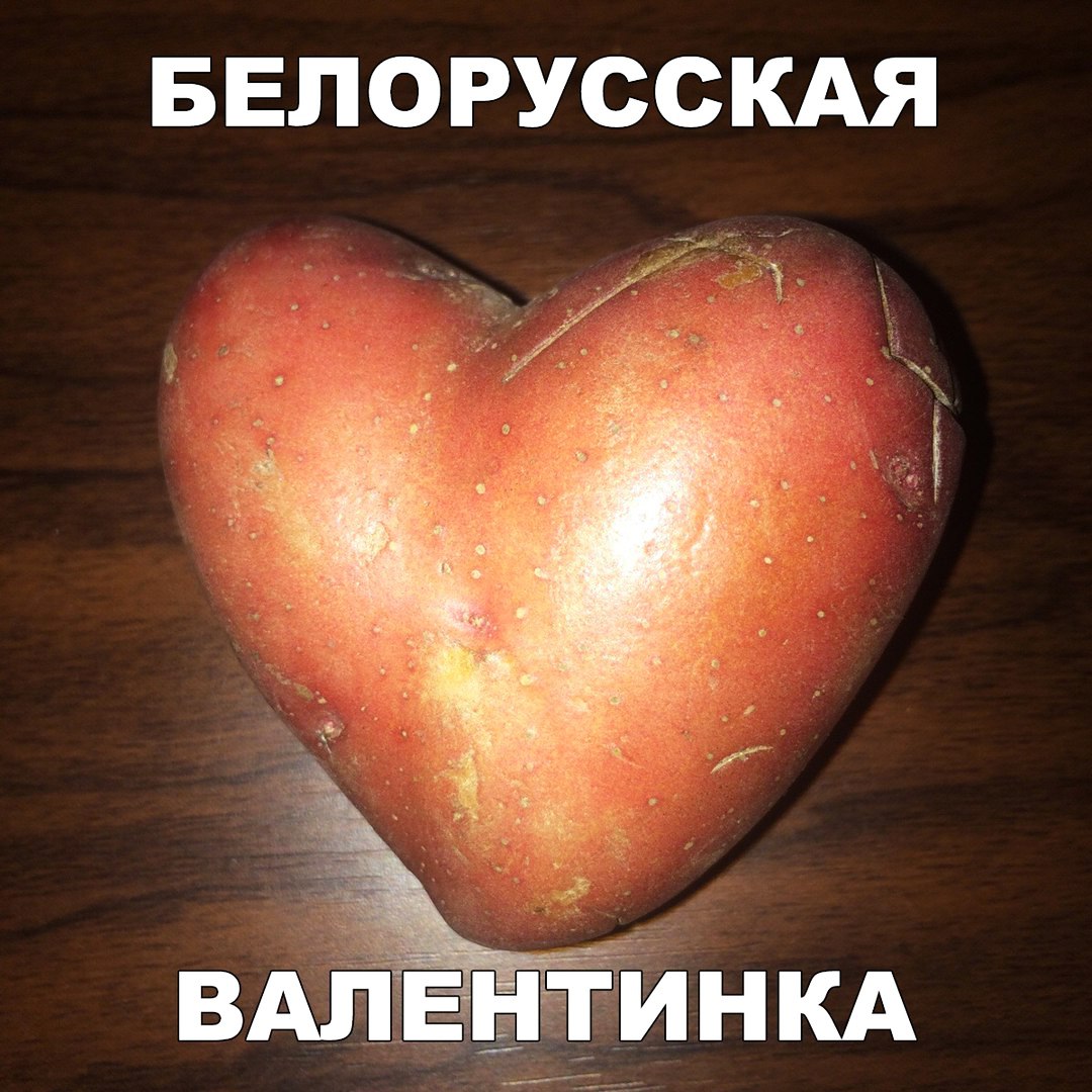 БЕЛОРУССКАЯ
