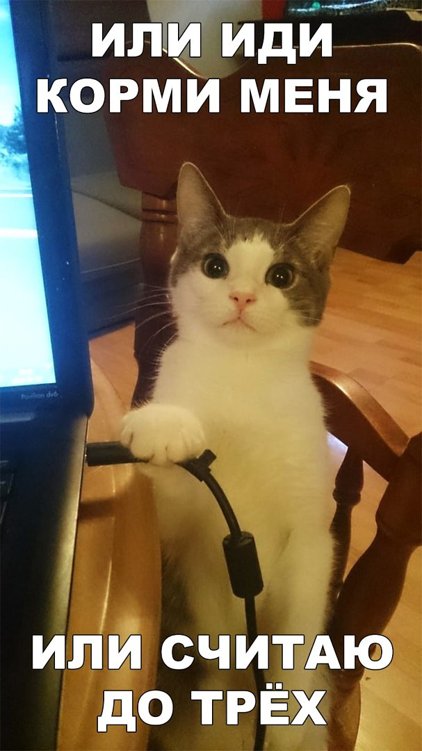 илигидй корми МЕНЯ ИЛИ СЧИТАЮ дО ТРЁХ