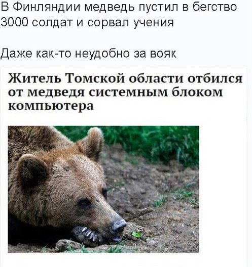В Финляндии медведь пустил в бегство 3000 солдат и сорвал учения Даже как то неудобно за вояк Житель Томской области отбился от медведя системным блоком компьютера