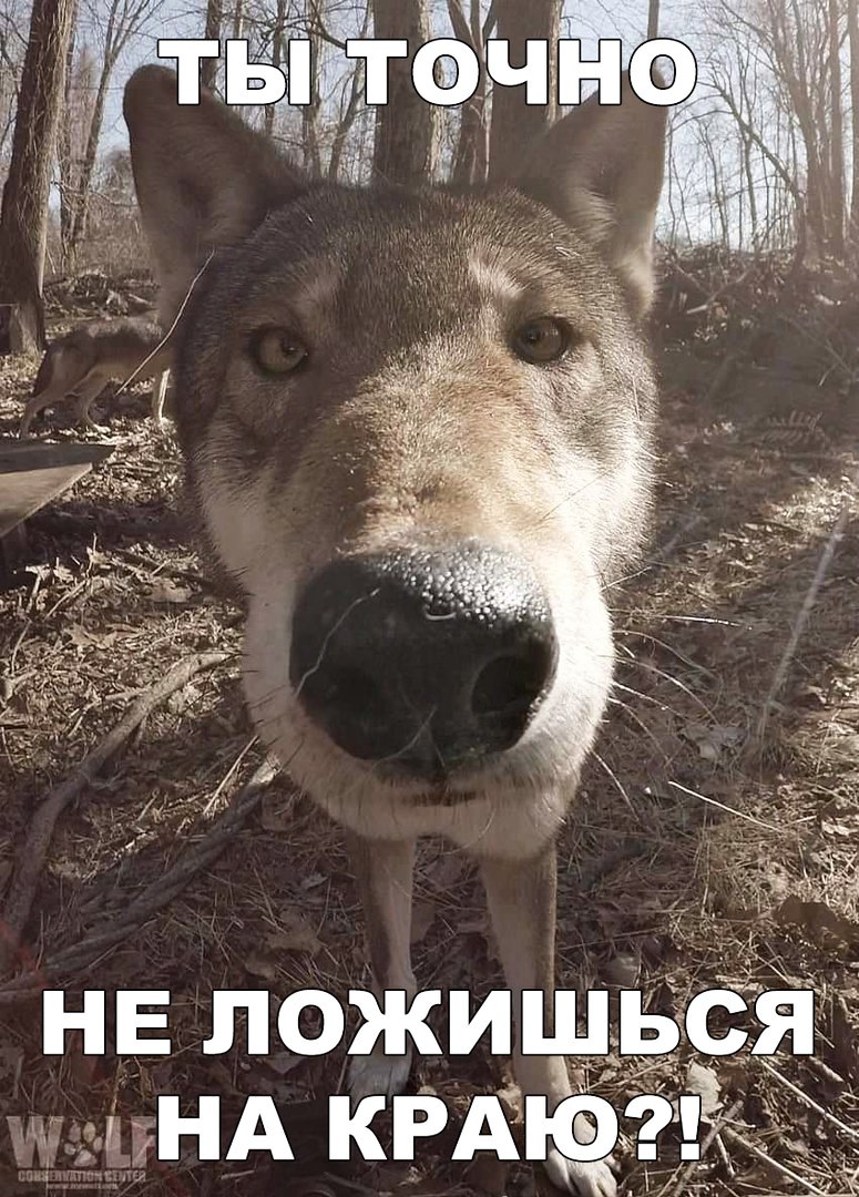 нв ложишізг Т В ГА ЮНА КРА