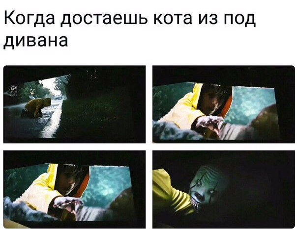 Когда достаешь кота из под дивана