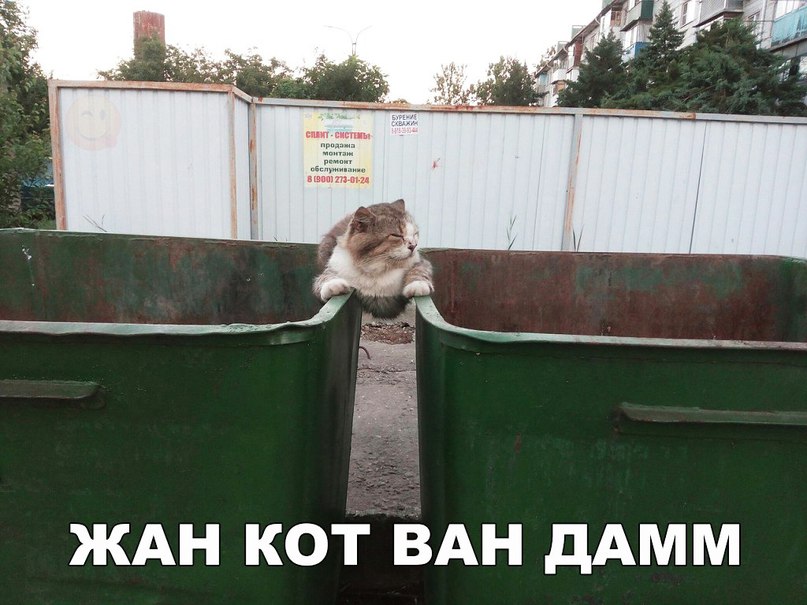 ЖАН КОТ ВАН дАММ