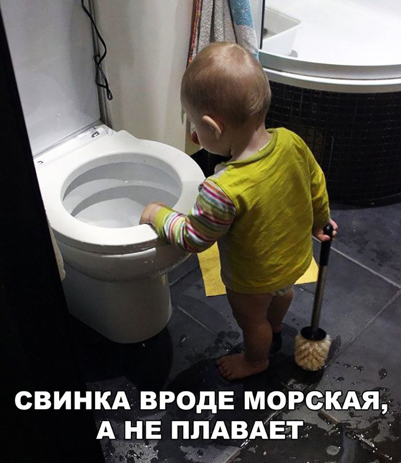 СВИНКА ВРОДЕ МОРСКАЯ А НЕ_ ППАВАЕТ