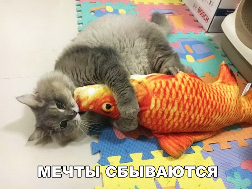 чтн сёёъп Аютс