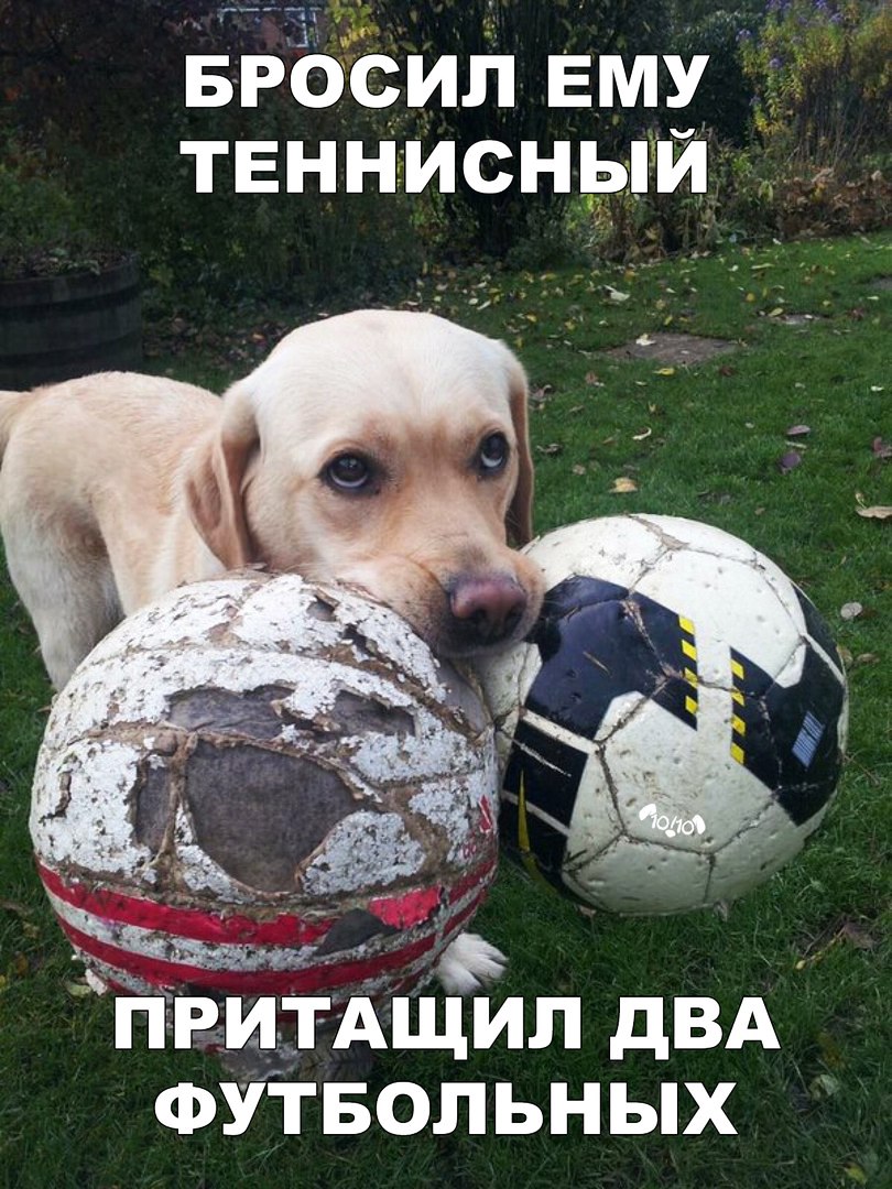 БРбЪип Ему твнНгиснёпгй __ ПРИТАЩИП дВА ФУТБОЛЬНЫХ