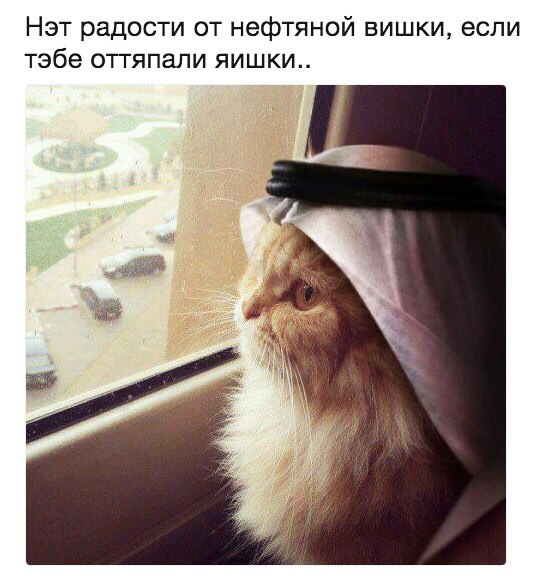 Нэт радости от нефтяной вишки если тебе оттяпали яишки