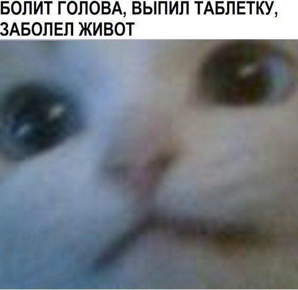 БОЛИТ ГОЛОВА ВЫПИЛ ТАБЛЕТКУ АБОПЕЛ ЖИВОТ