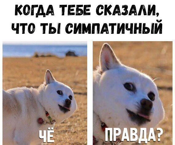 КОГДА ТЕБЕ СКАЗААШ ЧТО ТЫ СИМПАТИЧНЫЙ ПРАВДА