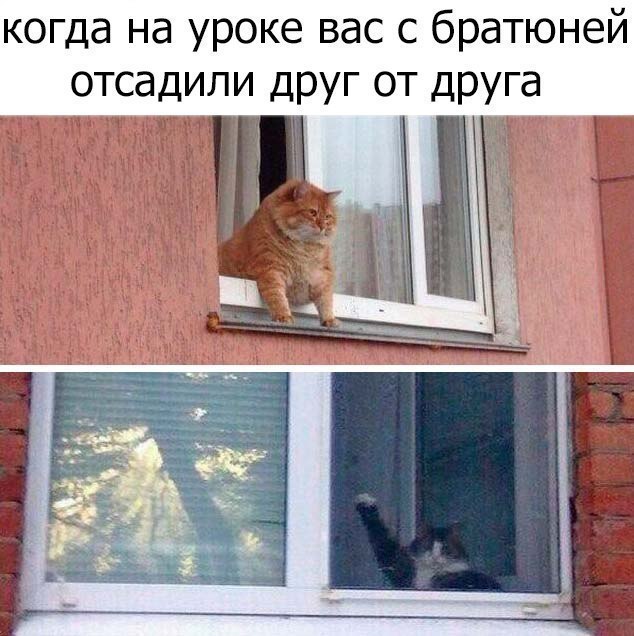 когда на уроке вас с братюней отсадили друг от друга