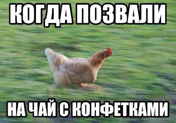 ііііідіі ППЗВііііИ іііі іііЙ 0 ііііііФЕТііііМИ