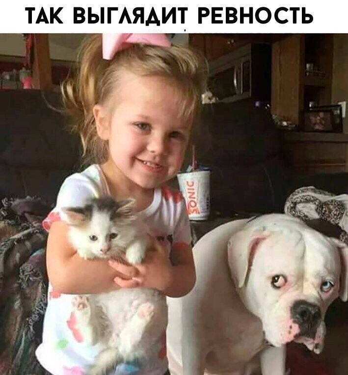 ТАК ВЫГАЯАИТ РЕВНОСТЬ