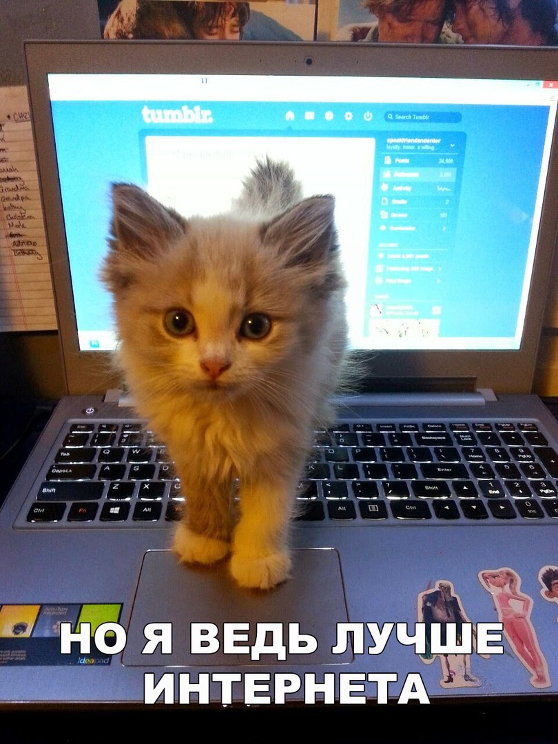 а нал Я ВЕДЬ ЛУЧШЕ ШПИНТЕРНЕТА