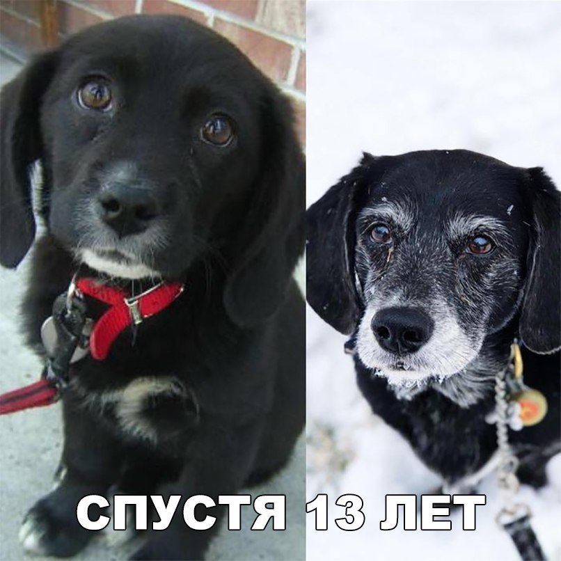 5 ч к на о