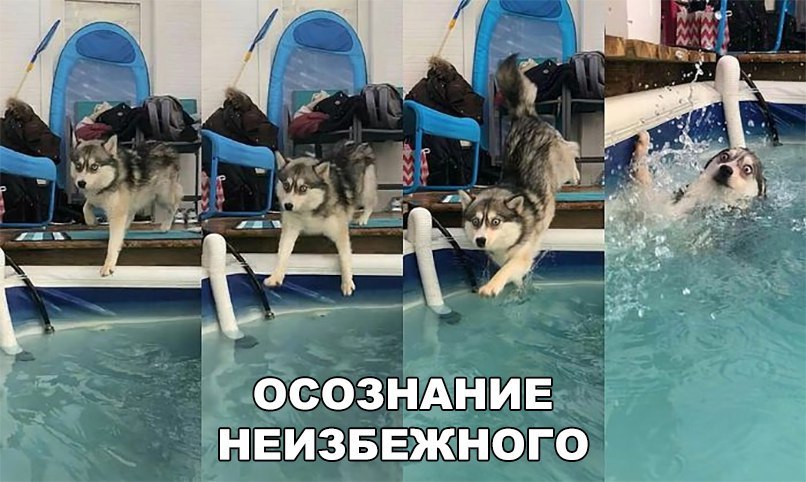 ОСОЗНАНИЕ НЕИЗБЕЖНОГО