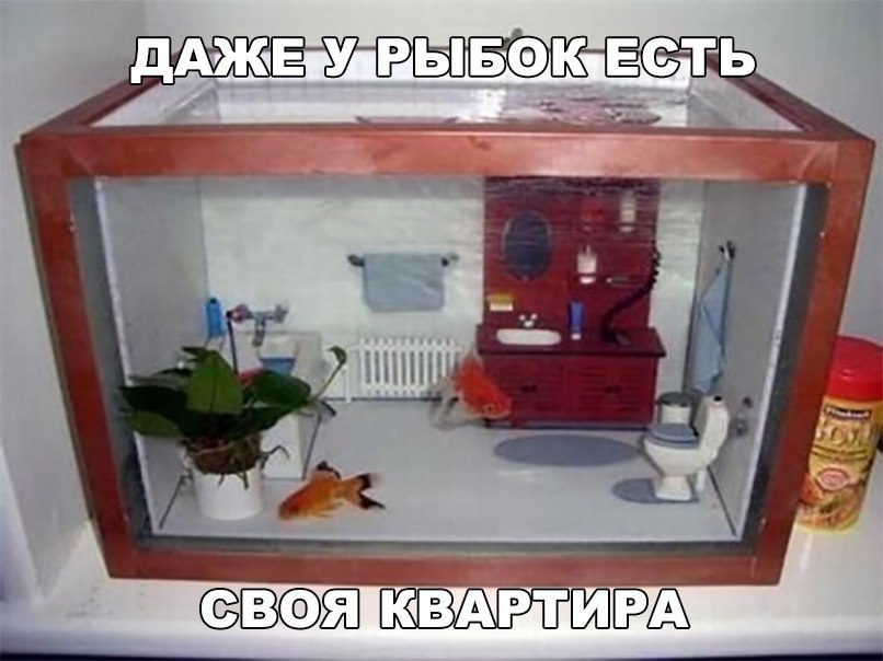 ВОЯИВАРЛИ РА