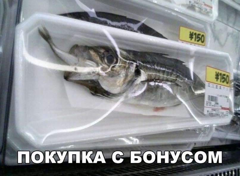 Щ_ ПОКУПКАСБОЁУСОМ