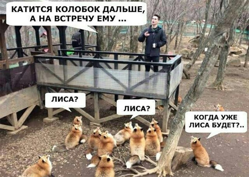 КАТИТСЯ КОЛОБОК ДАЛЬШЕдЗ А НА ВСТРЕЧУ ЕМУ