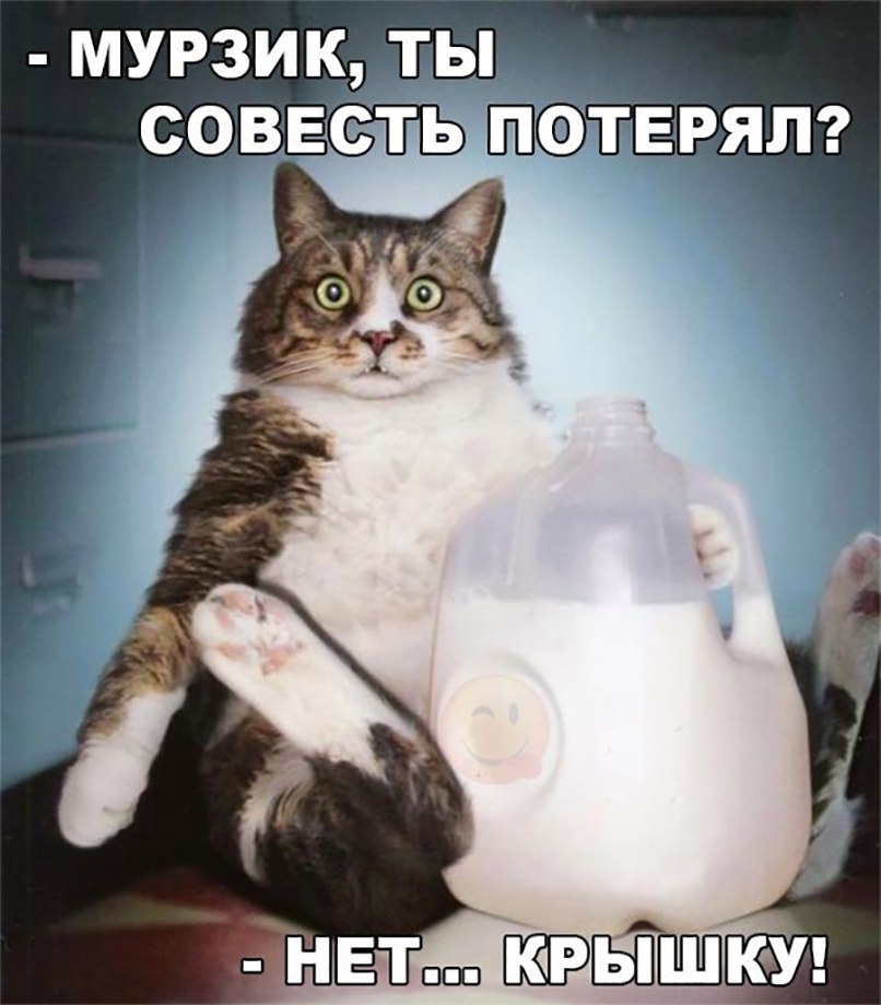 МУРЗИК ТЫ _