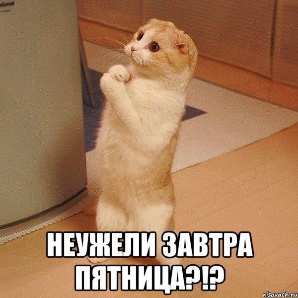 нвнЕпдвтгд пнтницдэцэ