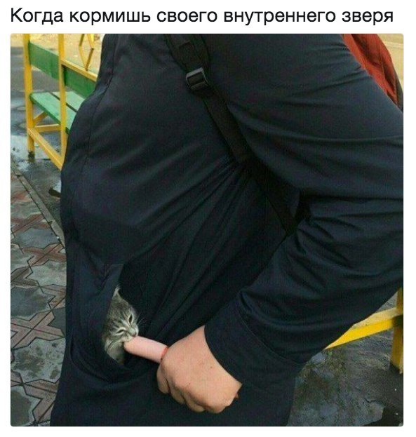 Когда кормишь своего внутреннего зверя