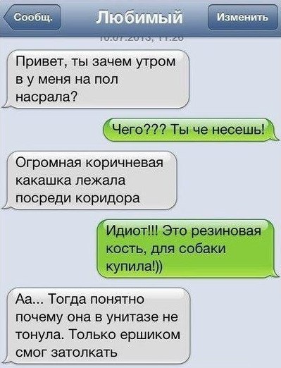 Изменить Привет ты зачем утром в у меня на пол насрала Огромная коричневая какашка лежала посреди коридора Аа Тогда понятно почему она в унишзе не тонула Только ершиком смог затолкать