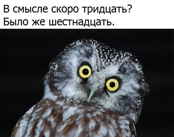 В смысле скоро тридцать Было же шесгнадцать
