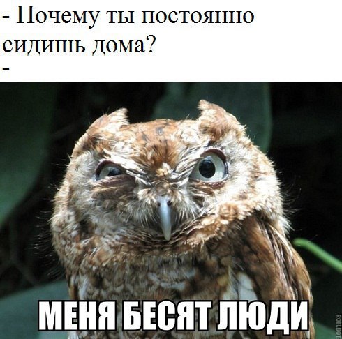 Почему ты сидишь Дома 1 л мшпвюят люди _