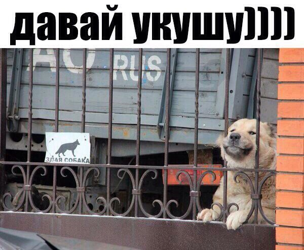 даваи ШШШ Ю