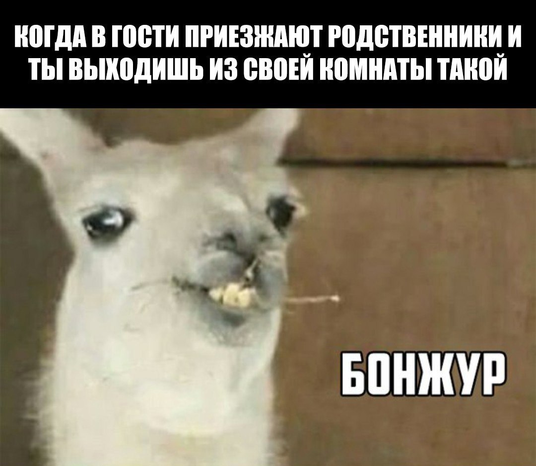 ЮГдд В ПЮТИ ПРИЕЗЖАЩТ РПДВТВЕННИНЦИ ТЫ ВШШДИШЬ ИЗ ШШШ НПМШПЫ ТМЮИ БПНЖУР