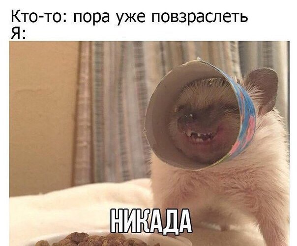 Кто то пора уже повзраслеть Я
