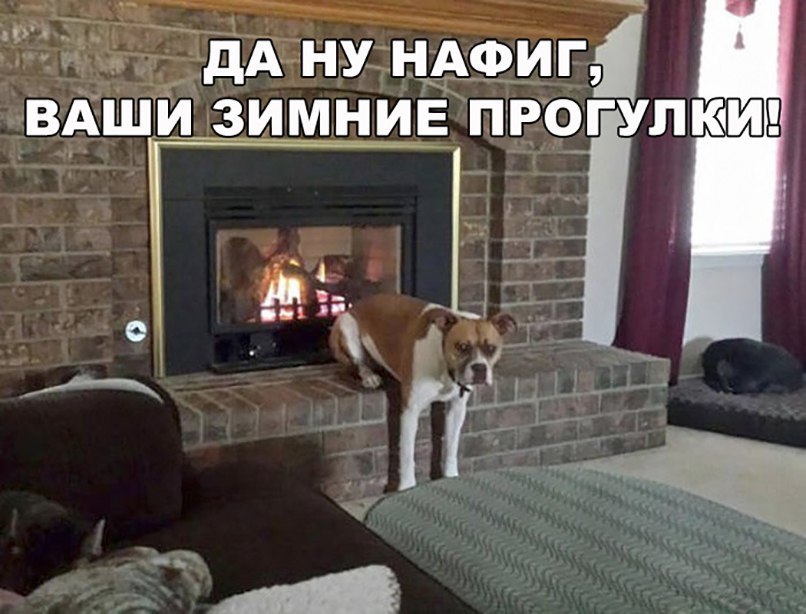 НАФИГ ВАШЁИЗИМНИЕ ПРОГУЛКМ