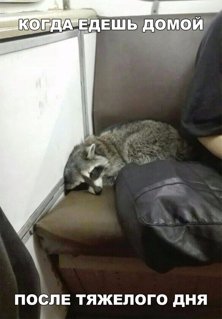 ПОСЛЕ ТЯЖЕПОГО дНЯ