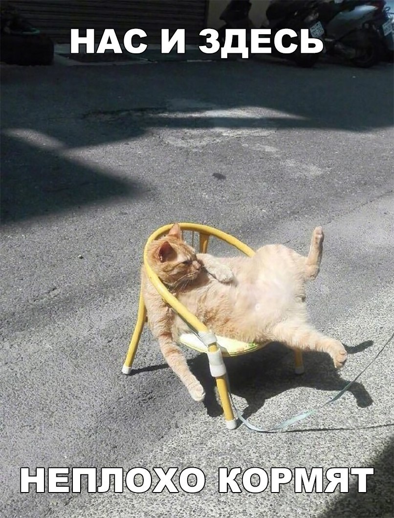 НАС И ЗДЕСЬ