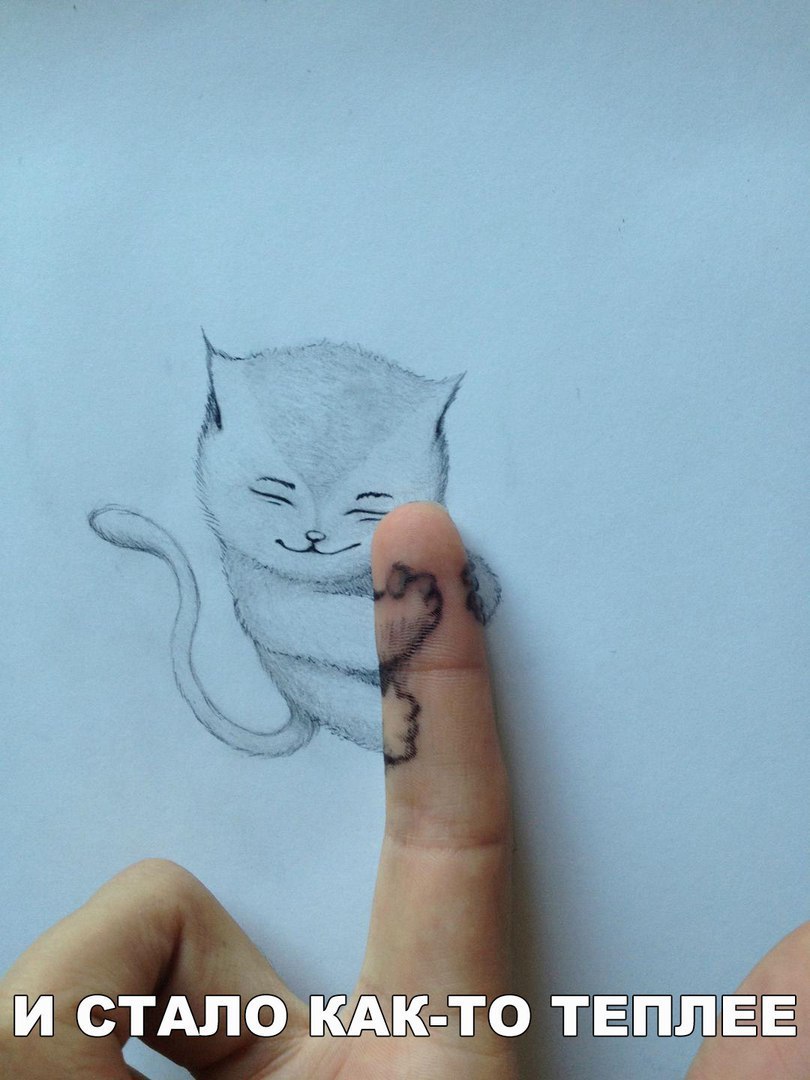 и стдло шхк то т