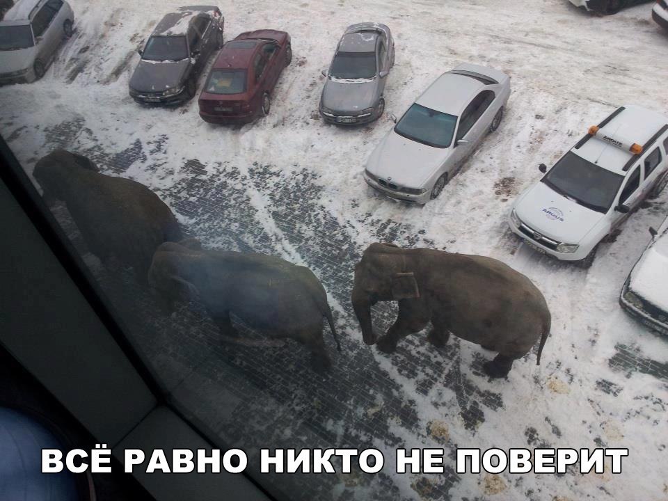ъ всЕ РАВНО никто н п