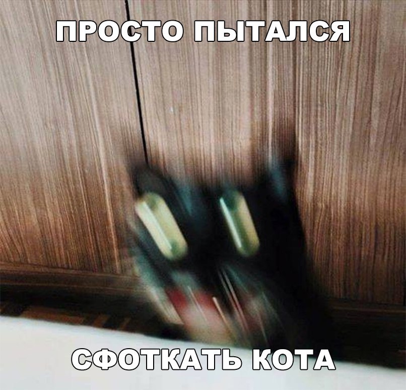 ОТтъ катд