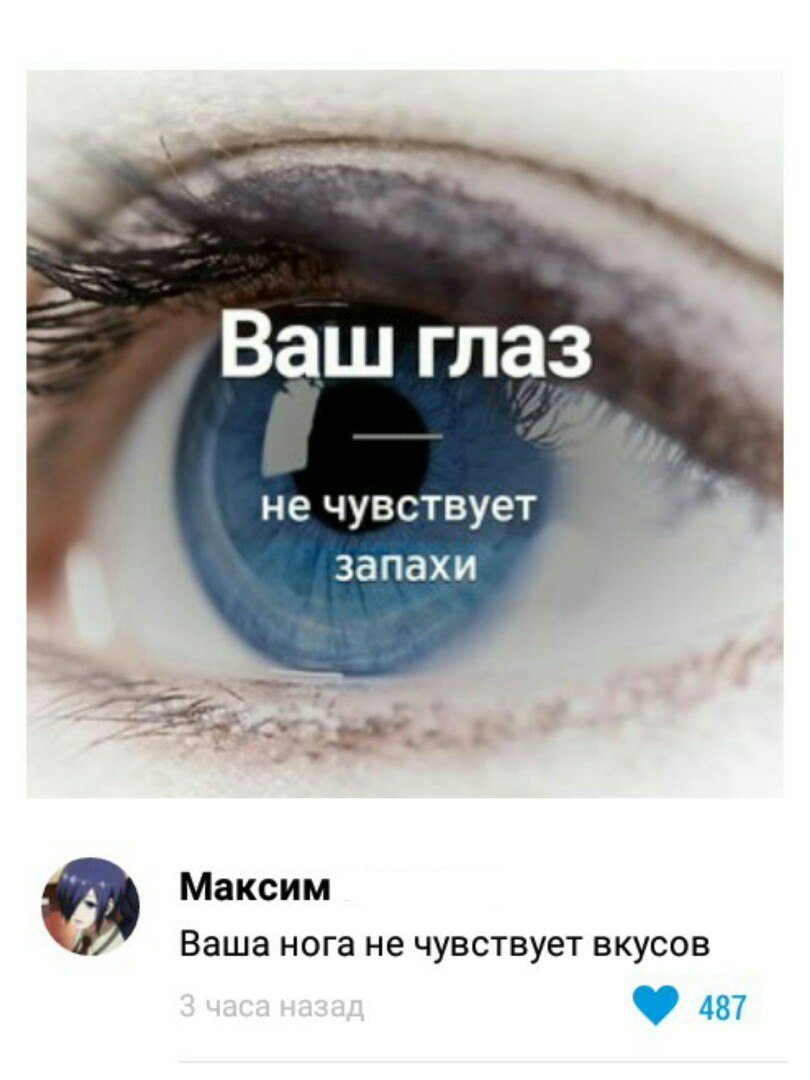 не ЧУВСТВУЭТ ЗдПдХИ Максим Ваша нога не чувствует вкусов 487