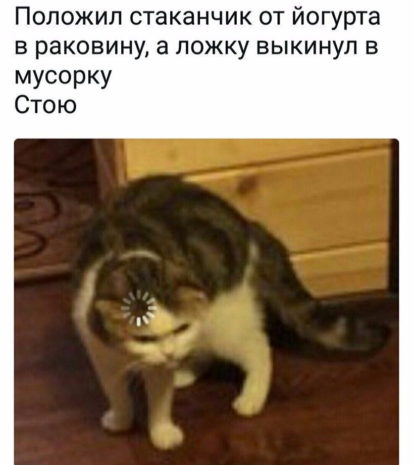 Положил стаканчик от йогурта в раковину а ложку выкинул в мусорку Стою