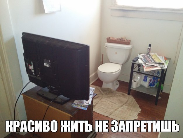 нгдсиво ніить згдпт