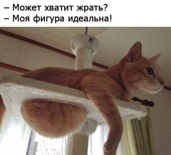 Может хватит жрать Моя фигура идеальна