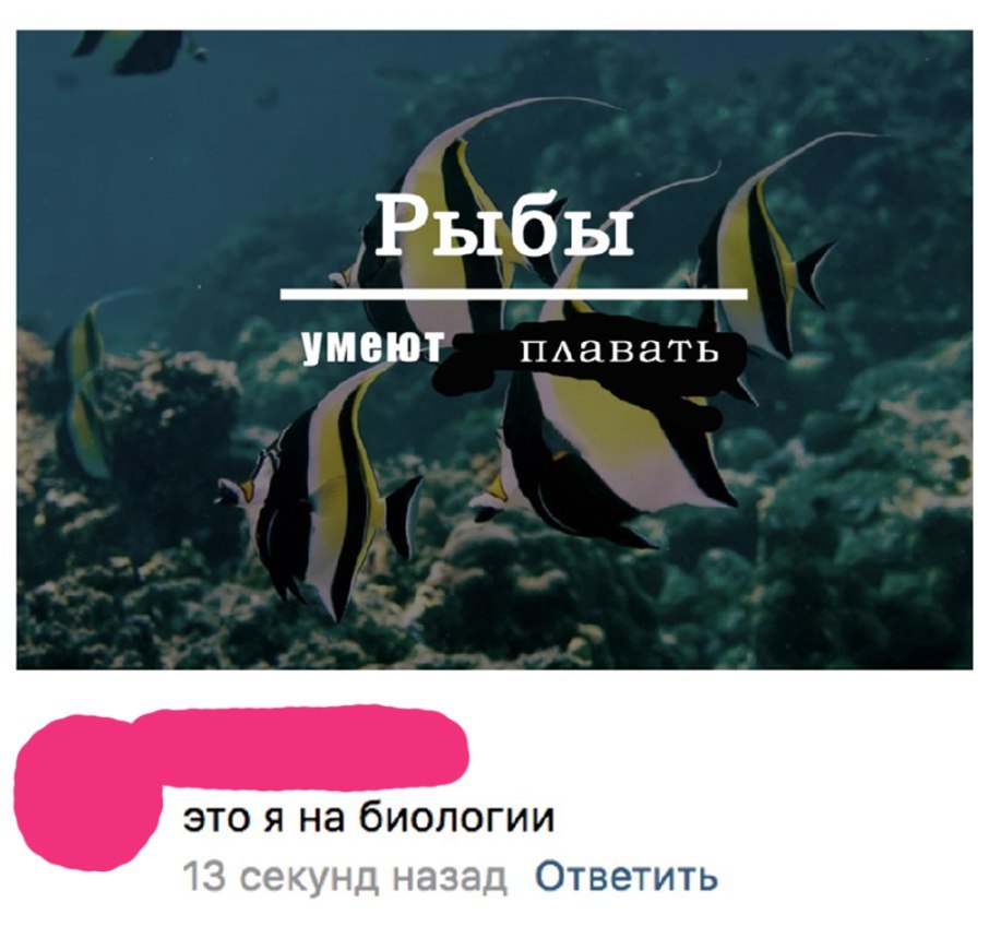 Рыбы умеют ПАавать это я на биологии тз секунд назад Ответить